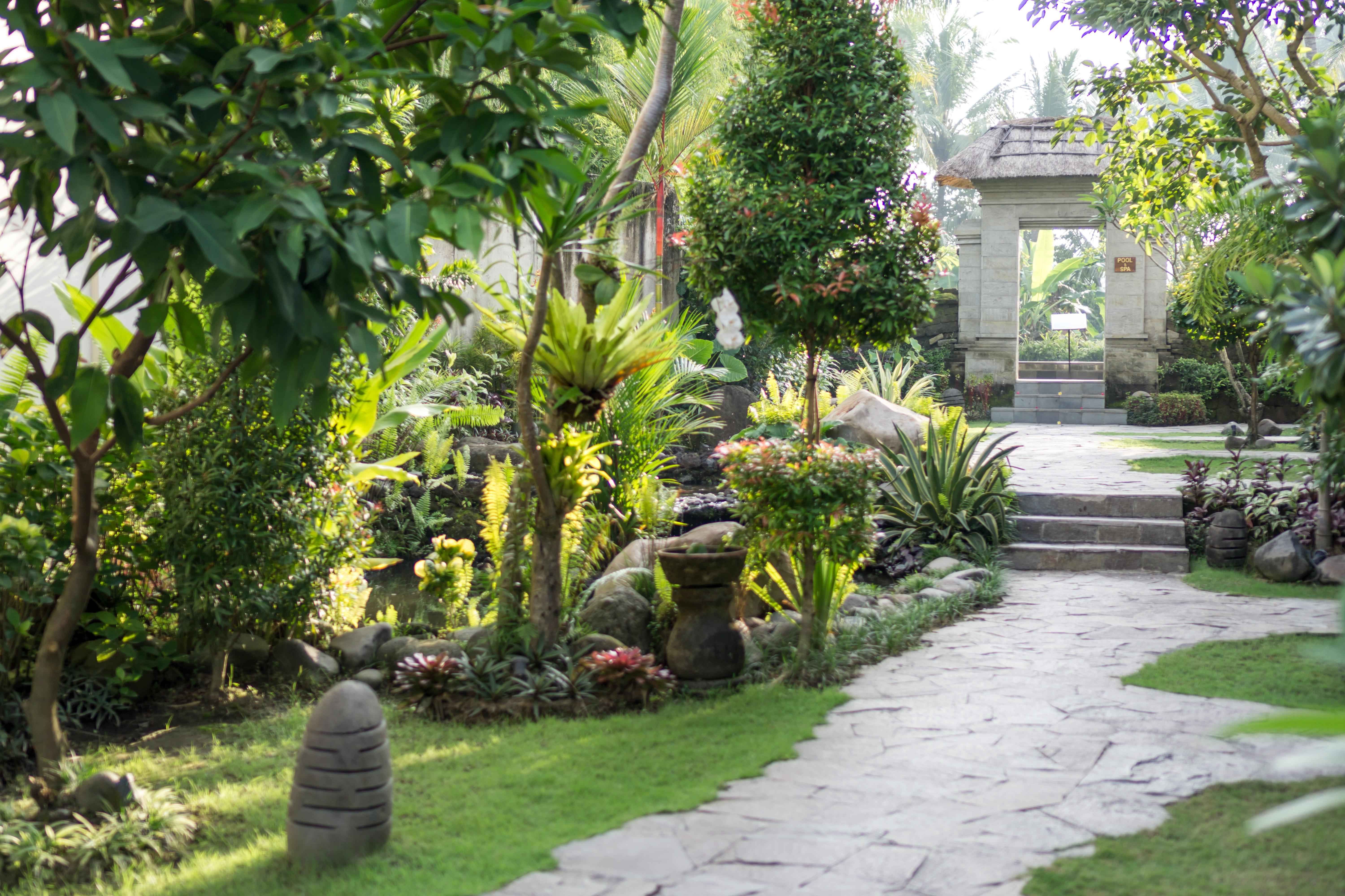 Radha Phala Resort & Spa Ubud Zewnętrze zdjęcie