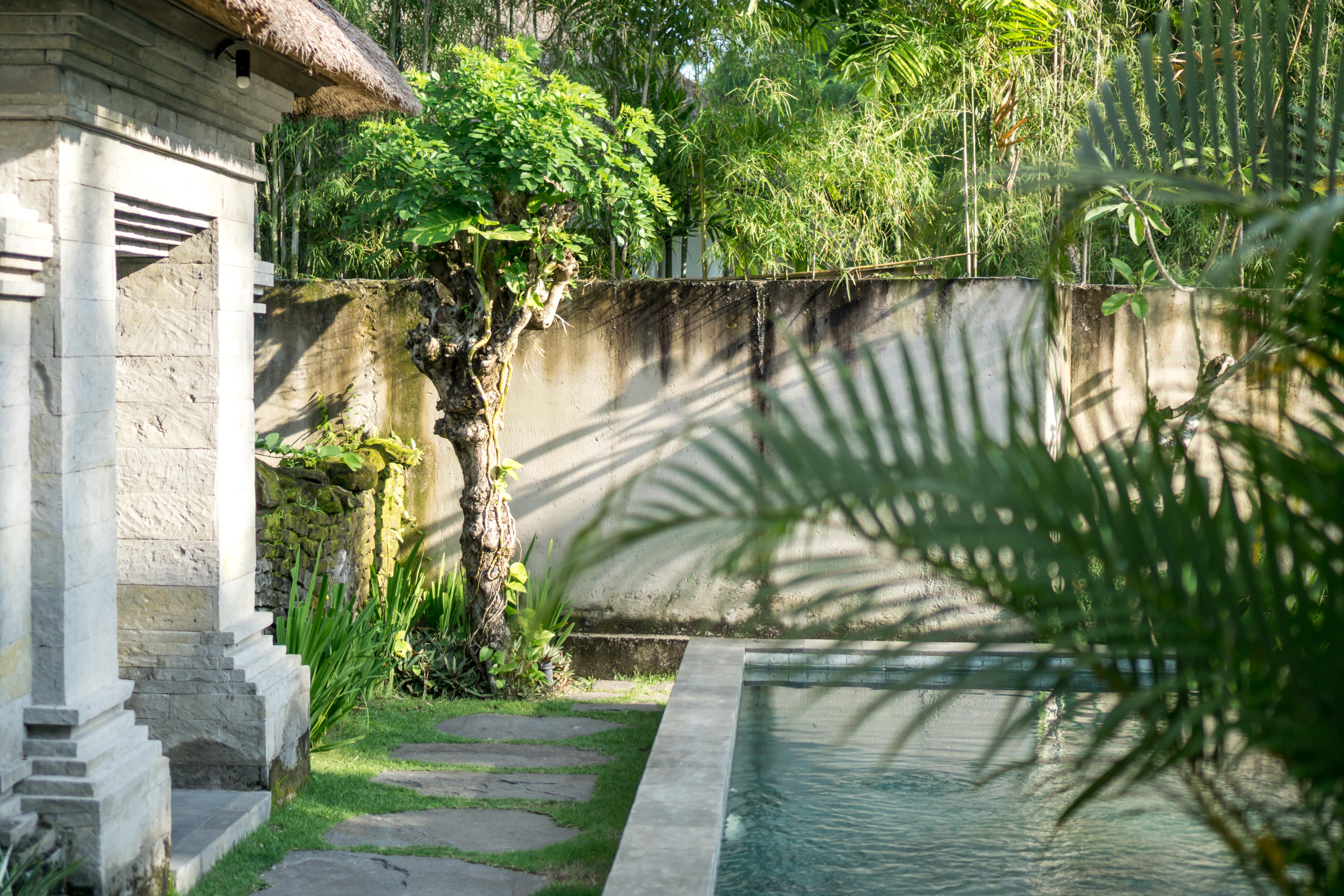 Radha Phala Resort & Spa Ubud Zewnętrze zdjęcie